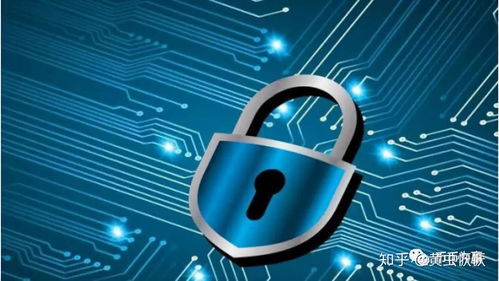 駝峰，儲的不止是水 網絡與信息安全軟件開發的戰略思考